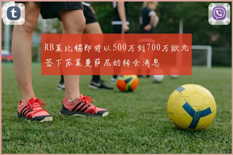 RB莱比锡即将以500万到700万欧元签下苏莱曼萨尼的转会消息